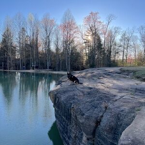 IT ALL HAS TO GO!!!!!